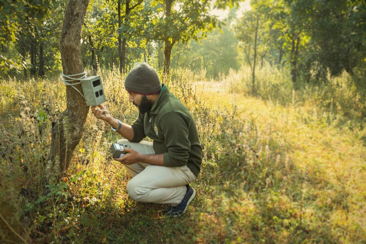 Pench Jungle Camp Hotel Khawasa Ngoại thất bức ảnh
